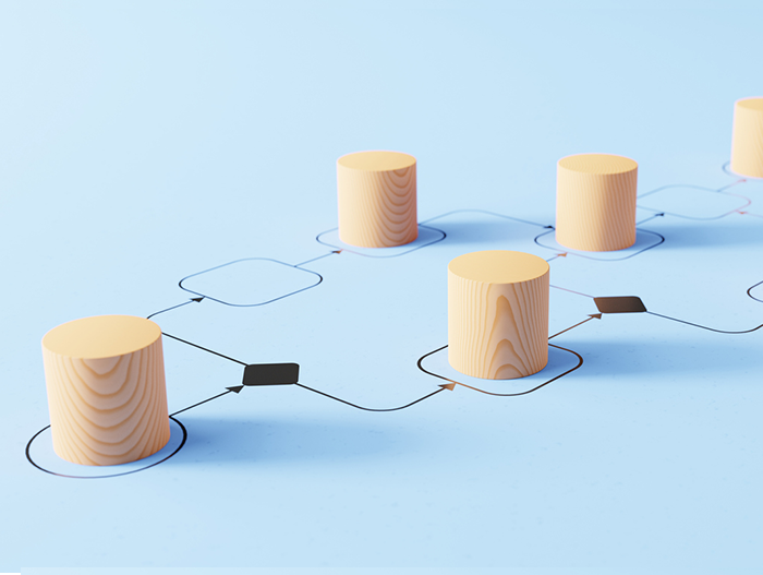 Detail of Business Process Reenginneering Service